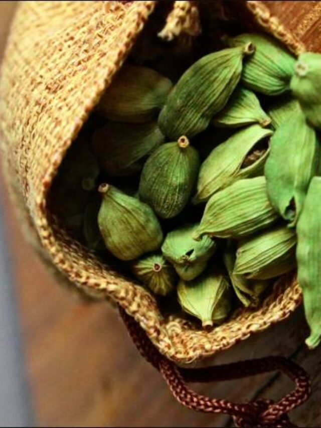 cardamom-compressed
